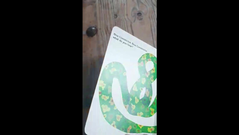 Polar Bear    (Reading)